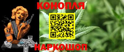 ECSTASY Новозыбков