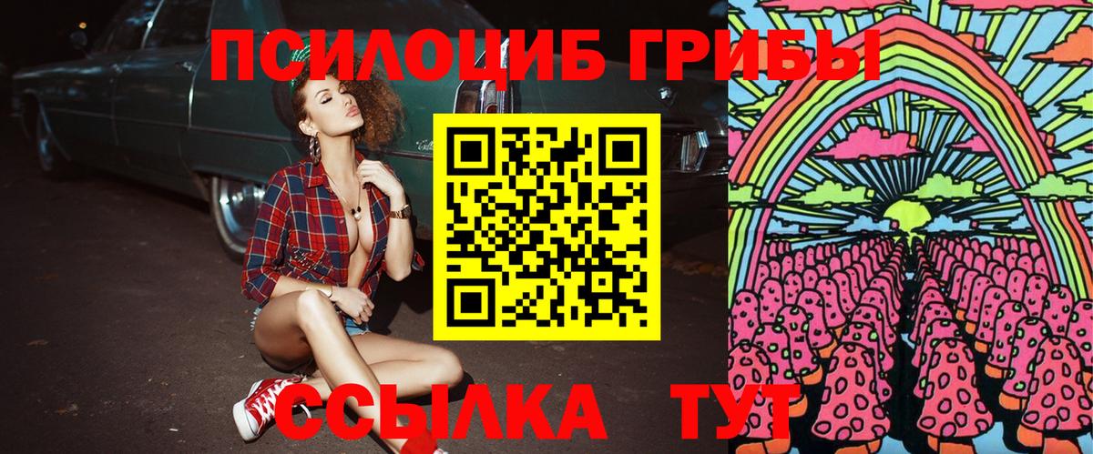 Урюпинск  Псилоцибиновые грибы ЛСД  Вход с VPN 